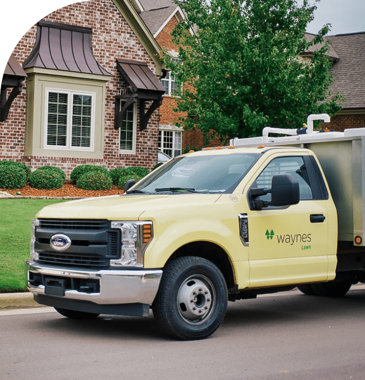 Pest Control Tennessee | Termite Treatment | Mosquito & Rodent Control