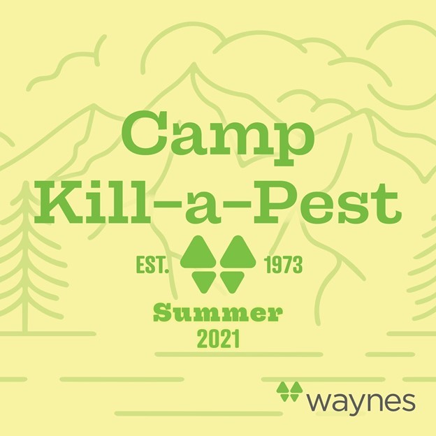 camp-kill-a-pest-blog-image