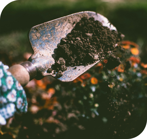 Good-soil_testing-lawn-service-pest-control