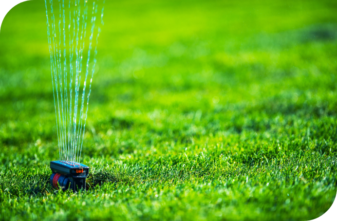 Lawn Aeration_Body_Sprinkler-on-beautiful-green-grass-lawn-services