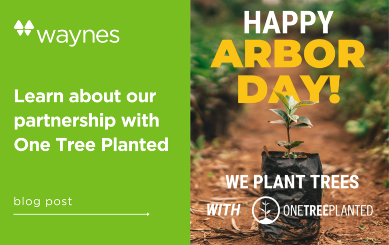 Learn about our partnership with One Tree Planted
