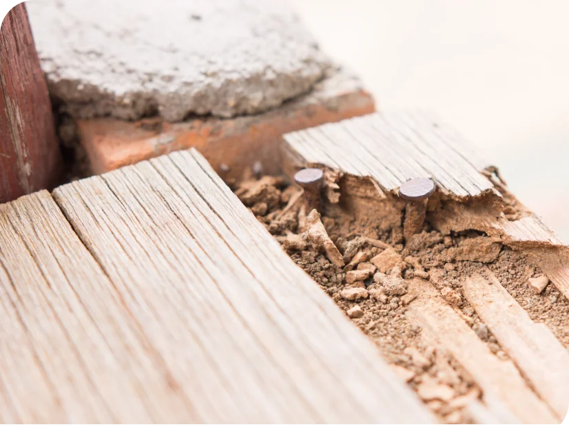 Close-up of rotted wood with exposed nails and soil from termite damage