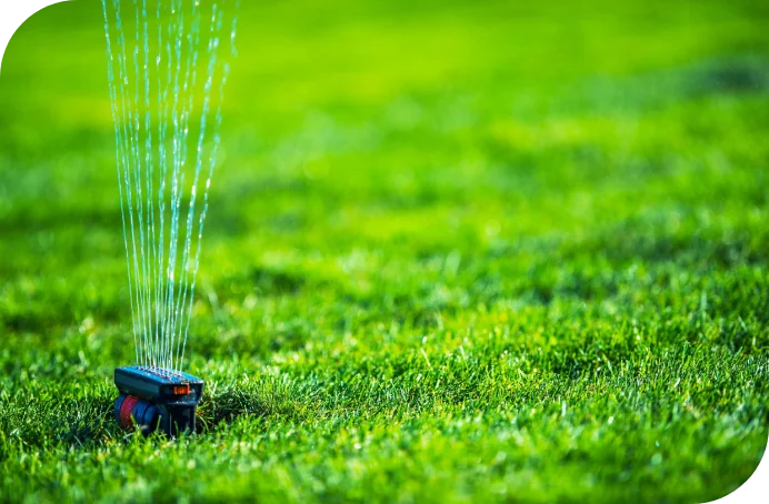 Lawn Aeration_Body_Sprinkler-on-beautiful-green-grass-lawn-services